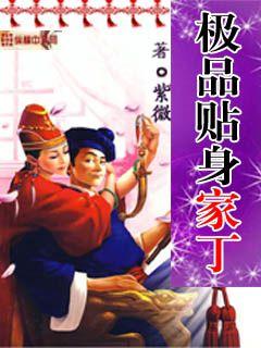 小说极品家丁 免费下载