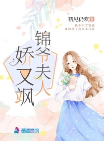 锦娇无弹窗免费阅读