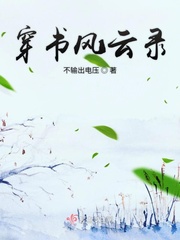 穿越风云录txt资源