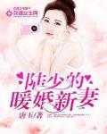 陆少的暖婚新妻 第3094章