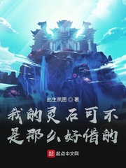 小说灵石介绍