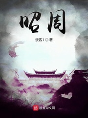 昭鸾小说全文免费TXT