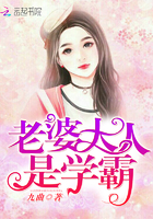 老婆大人是总裁小说