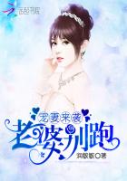 老婆别逃了全免费阅读