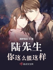 陆先生的独家甜婚全文免费阅读