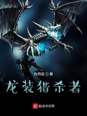 龙装者在线