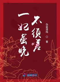 白锦玉凤辰小说全文免费阅读最新章节