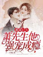萧何苏曼