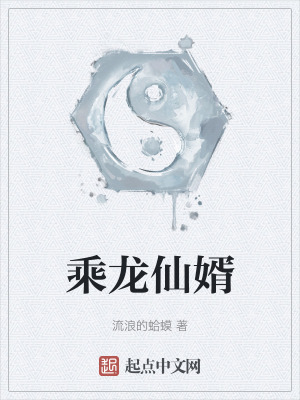 乘龙仙婿小说阅读免费下载