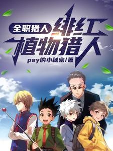 全职猎人火红眼