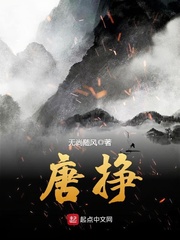 唐挣 小说下载